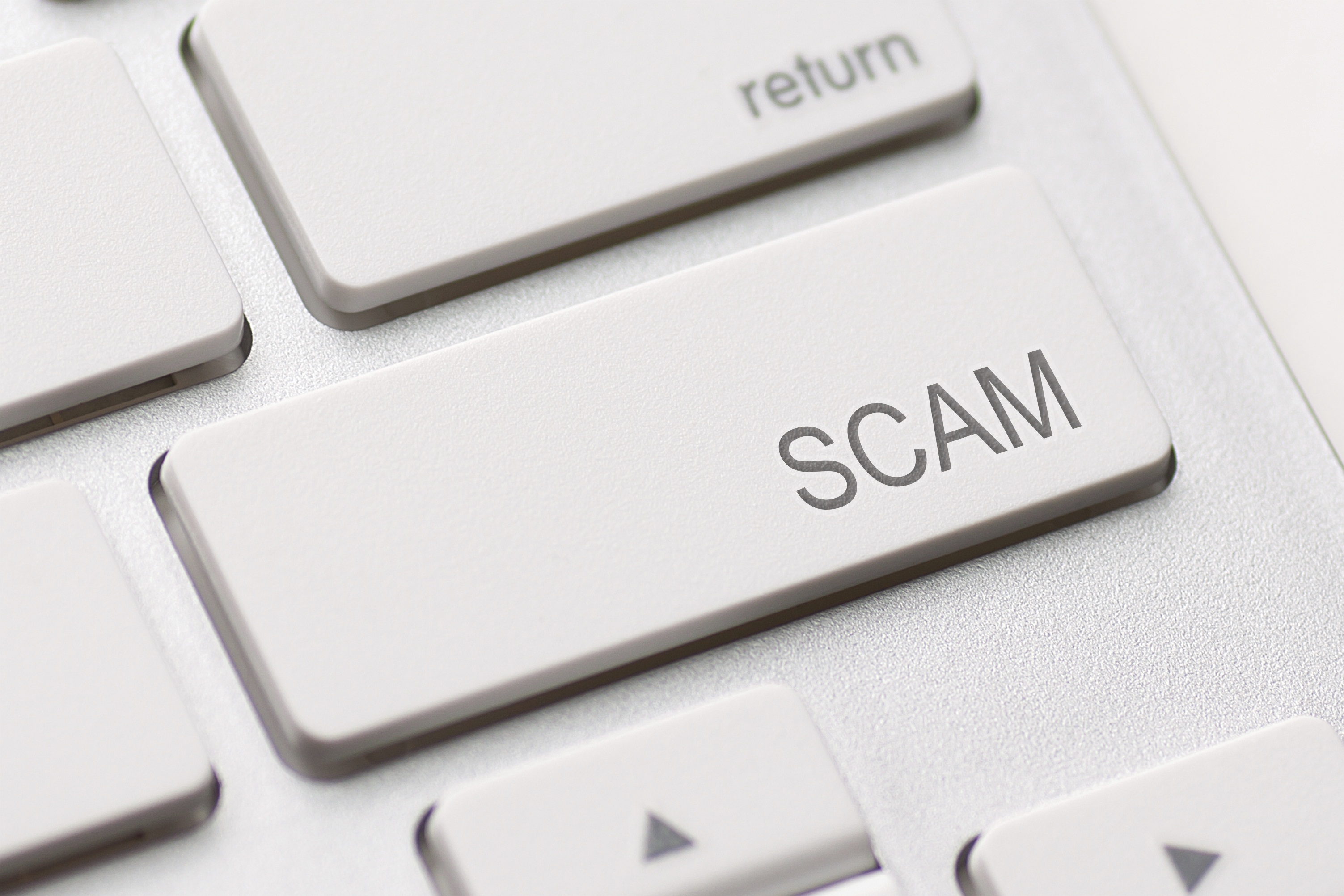 Gon Forum: Is It A Scam Or The Real Deal? The Verdict Is In! - wo4z3lx
