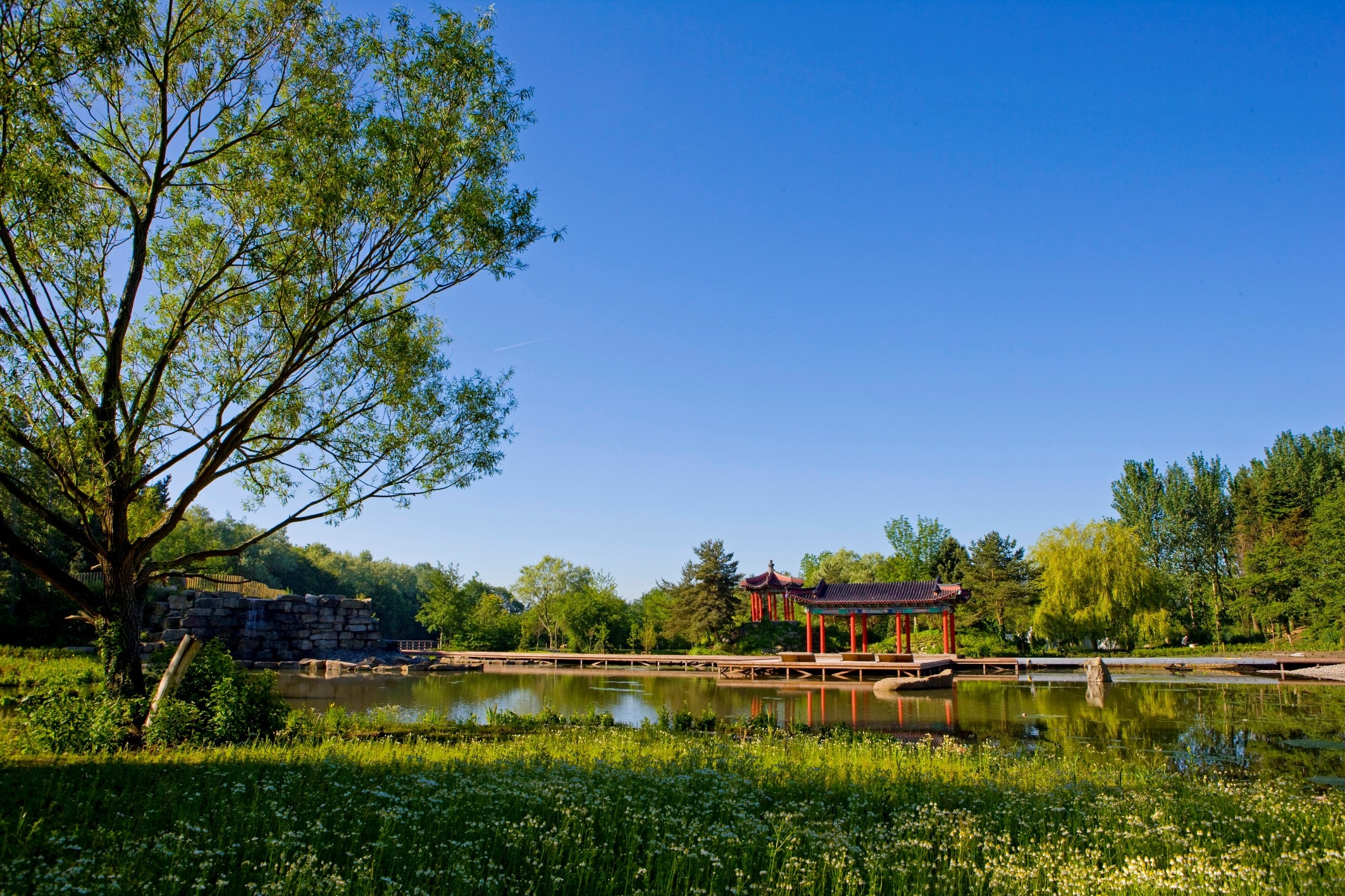Festival gardens