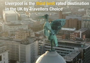 Liver Bird