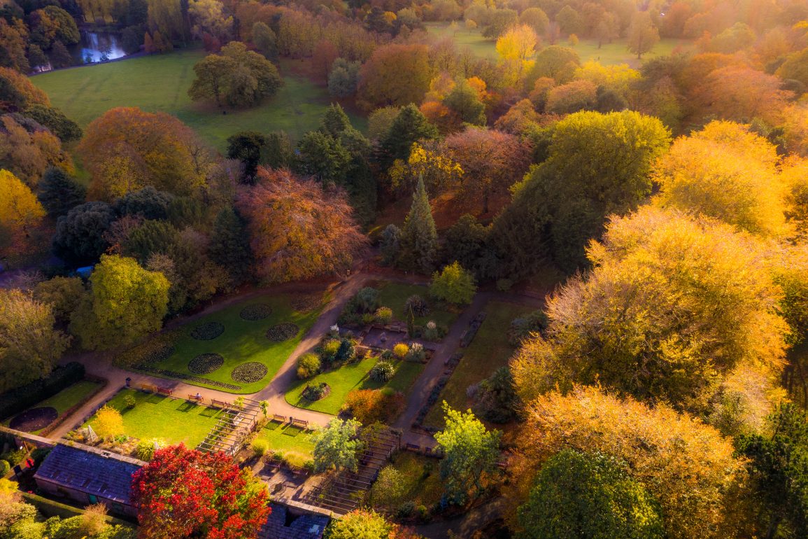 Friends Of Harthill And Calderstones Park Spring 2023 Liverpool Express