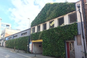 One of Liverpool's urban living green walls