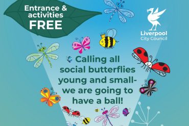 Image of butterflies, bees, ladybirds, and the following text - Calling all social butterflies young and small we are going to have a ball!